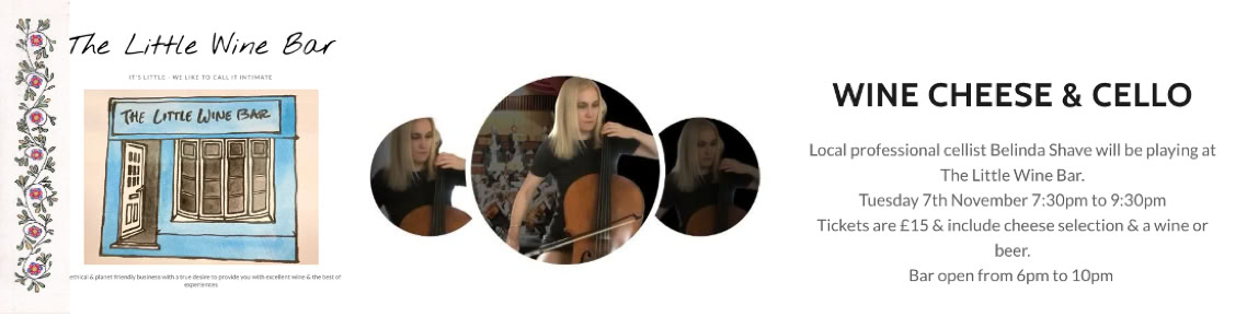 Wine Cheese and Cello at The Little Wine Bar, Walton - Belinda entertains with cello and recorder